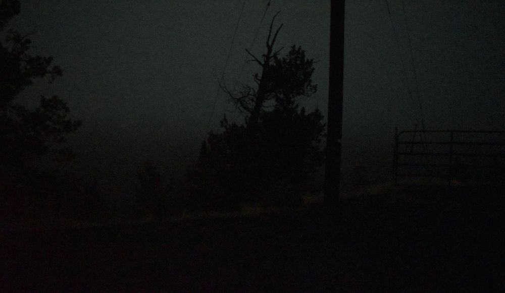 Heavy fog at night, an old twisted juniper is faintly backlit in a faint greenish glow
