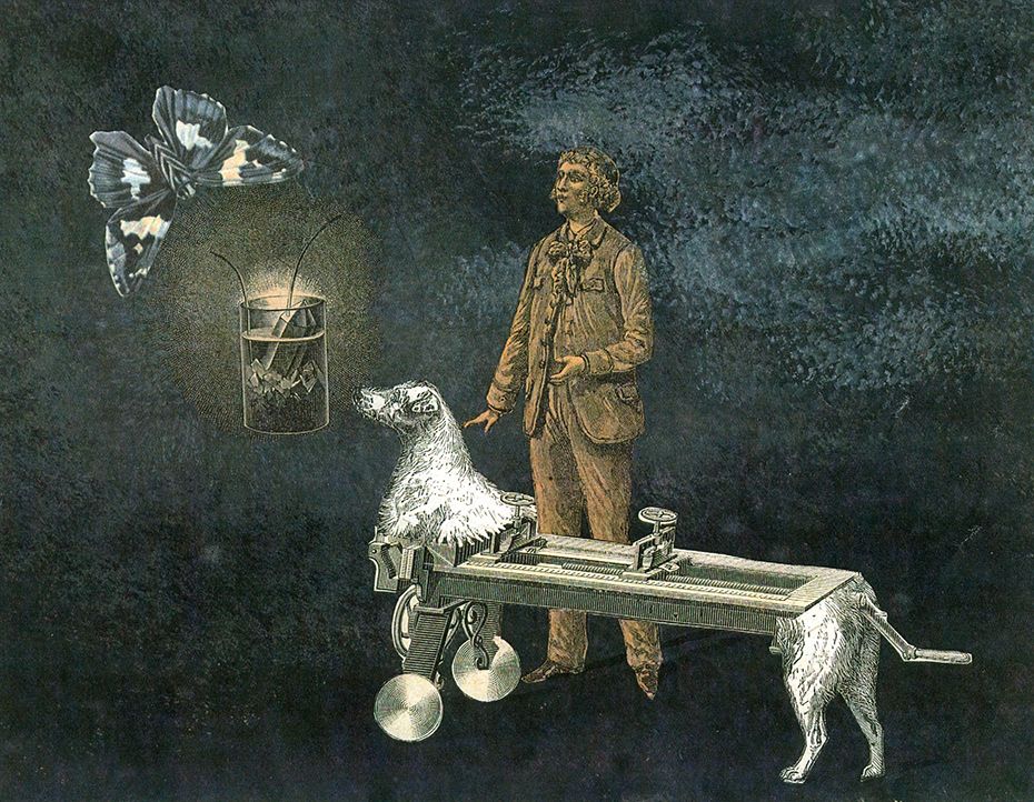  Electric Surprise / Sorpresa Eléctrica (1962) by Remedios Varo (1908 - 1963)
