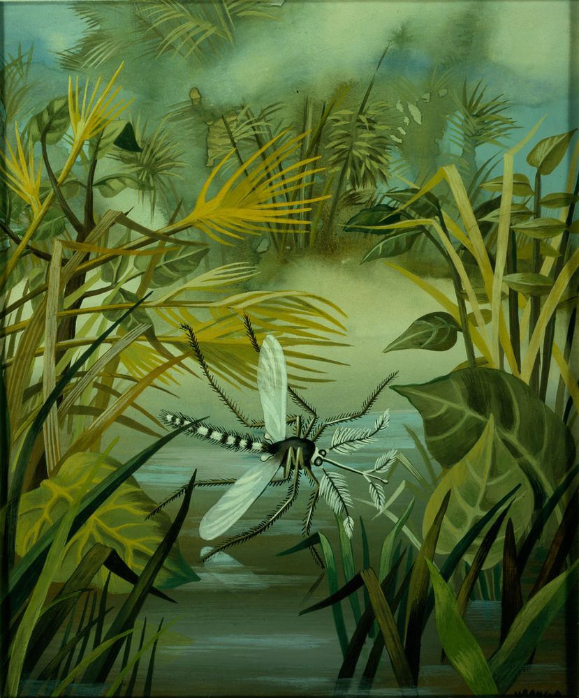  Malaria (Dragonfly) / Paludismo (Libélula) (1947) by Remedios Varo (1908 - 1963)