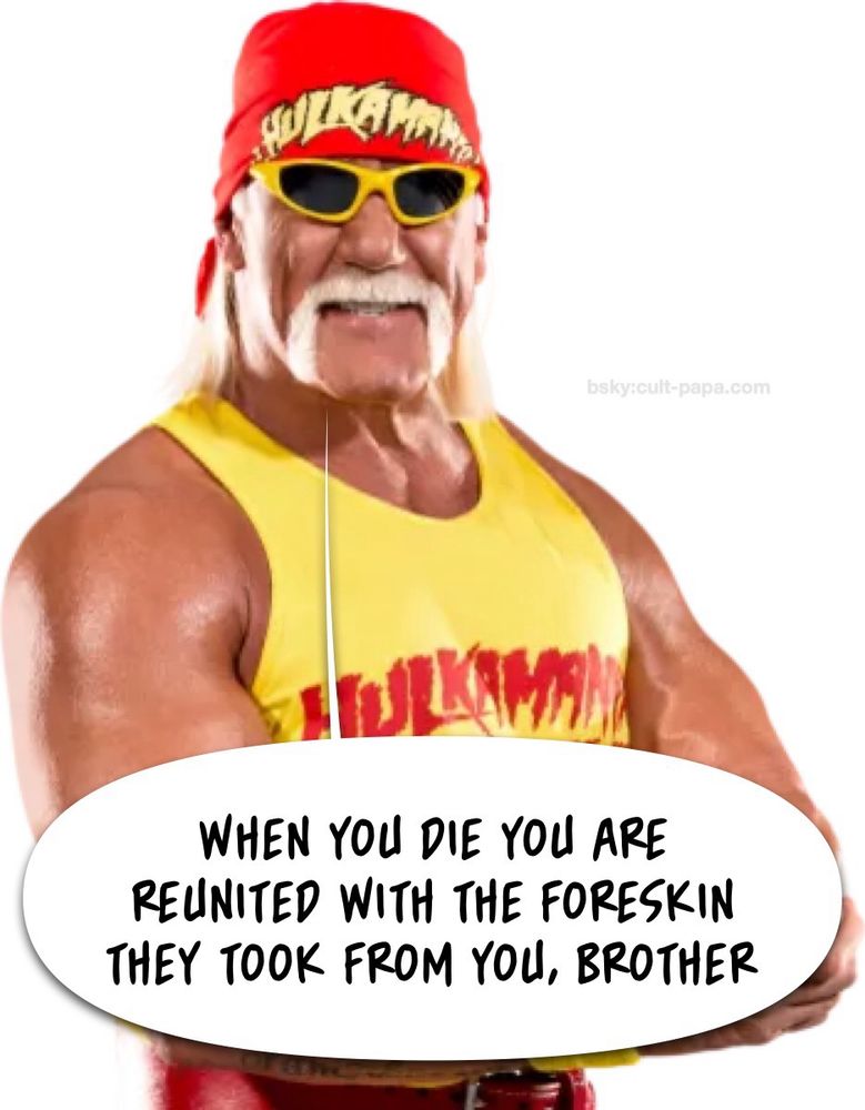 hulk hogan saying “WHEN YOU DIE YOU ARE
REUNITED WITH THE FORESKIN THEY TOOK FROM YOU, BROTHER”