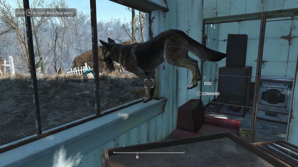 Dogmeat in Fallout 4 doing a handstand. Wow.