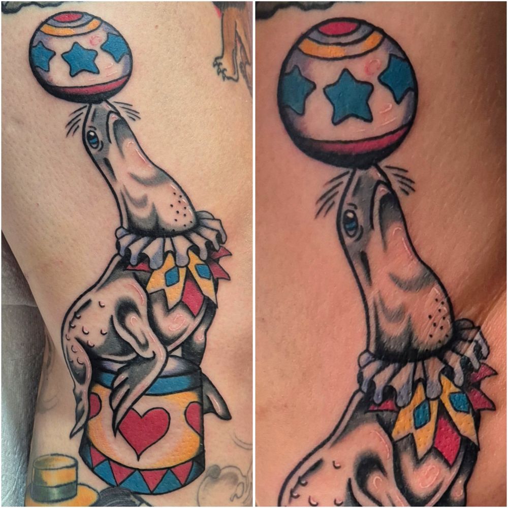 A large tattoo on the inner side of the knee, of a seal perched on a colorful drum, balancing a circus ball on its nose.