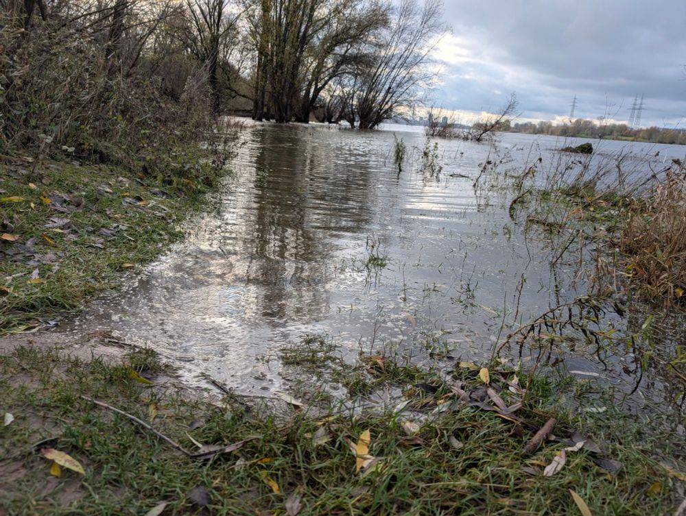 Der Rhein bei Duisburg. 