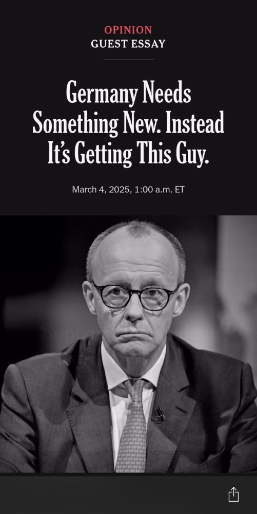 Meinungsstück über Friedrich Merz i
