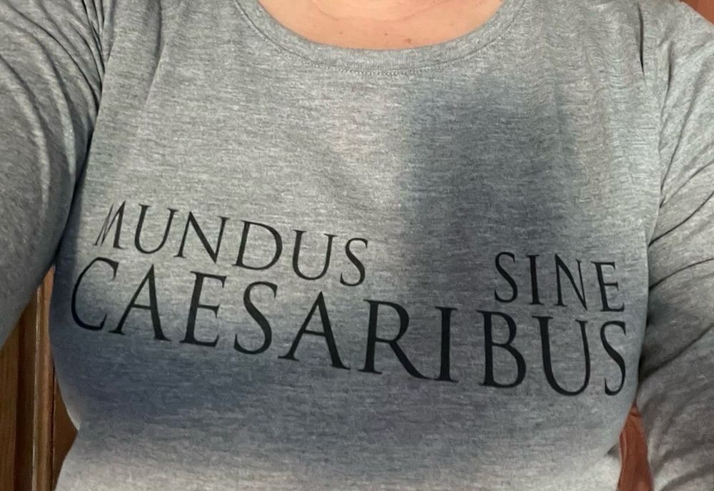 graues Shirt mit Aufdruck „Mundus sine caesaribus“
