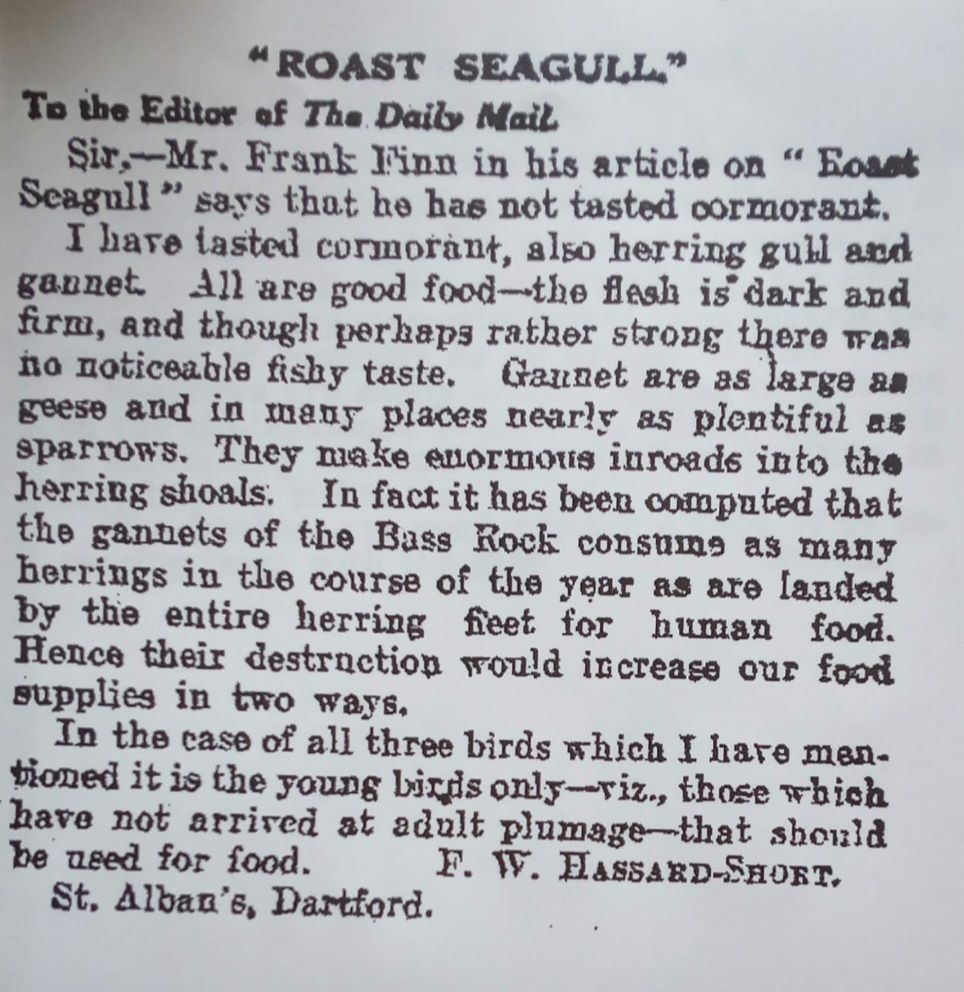 Letter to the Daily Mail recommending eating cormorant 