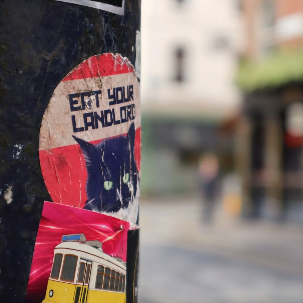 A red sticker on a lamppost with an illustration of a black cat giving an intense stare and the slogan 'eat your landlord'