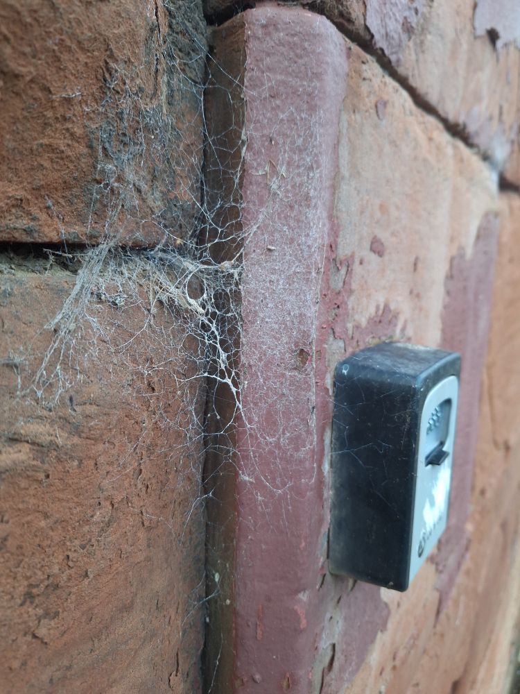 A dusty spider web next to a key safe