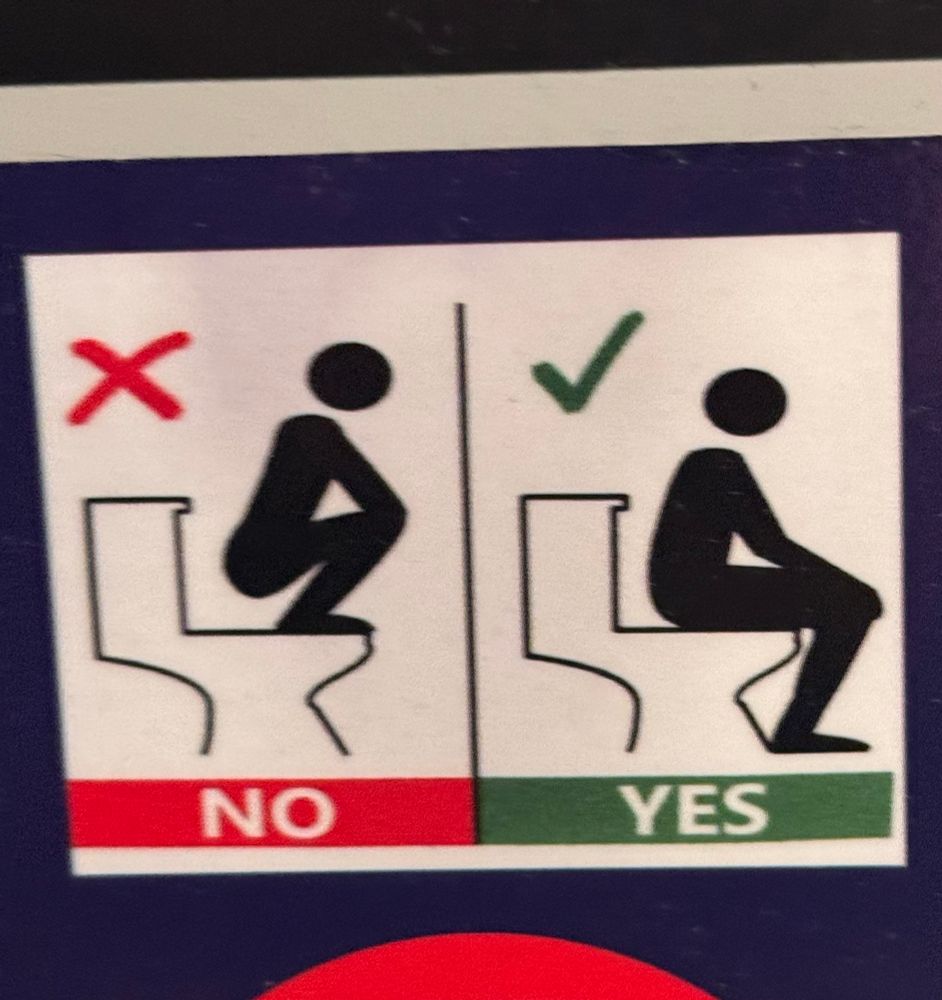 A caution message above a train toilet — on the left is NO, showing a man squatting UPON the toilet like he’s a shitting gargoyle; on the right is YES, clearly showing a different, less gremlinized man, who is sitting on the toilet properly, with the slightest depressed hunch to his shoulders, as we all do when we are doing our Toilet Time Business (TTB)