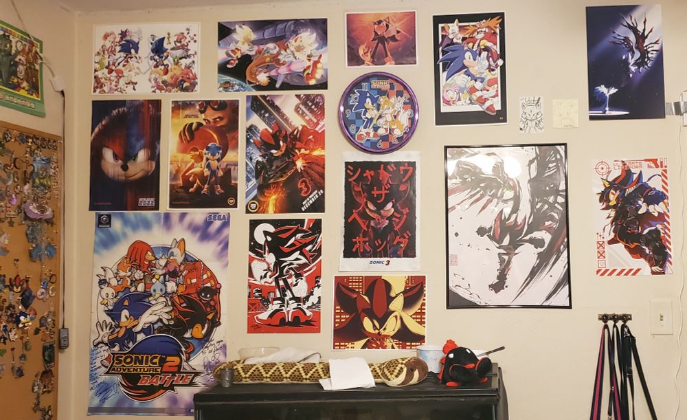 Picture of a wall with various arts of shadow the hedgehog 