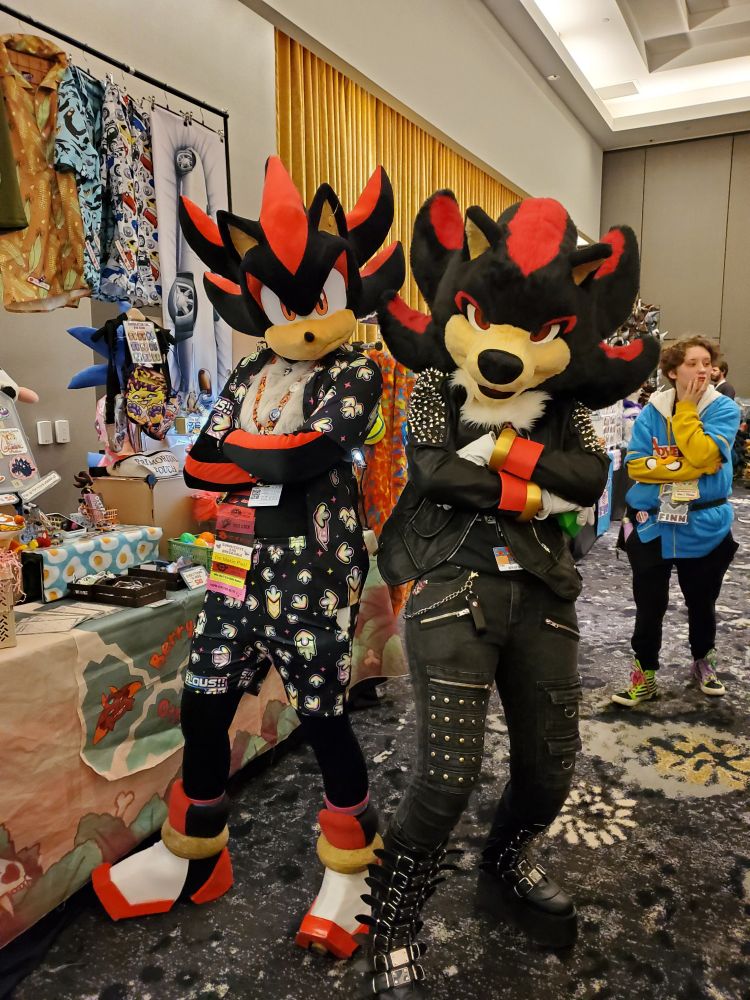 Shadow the hedgehog and shadow the hedgehog stanced up for a picture 