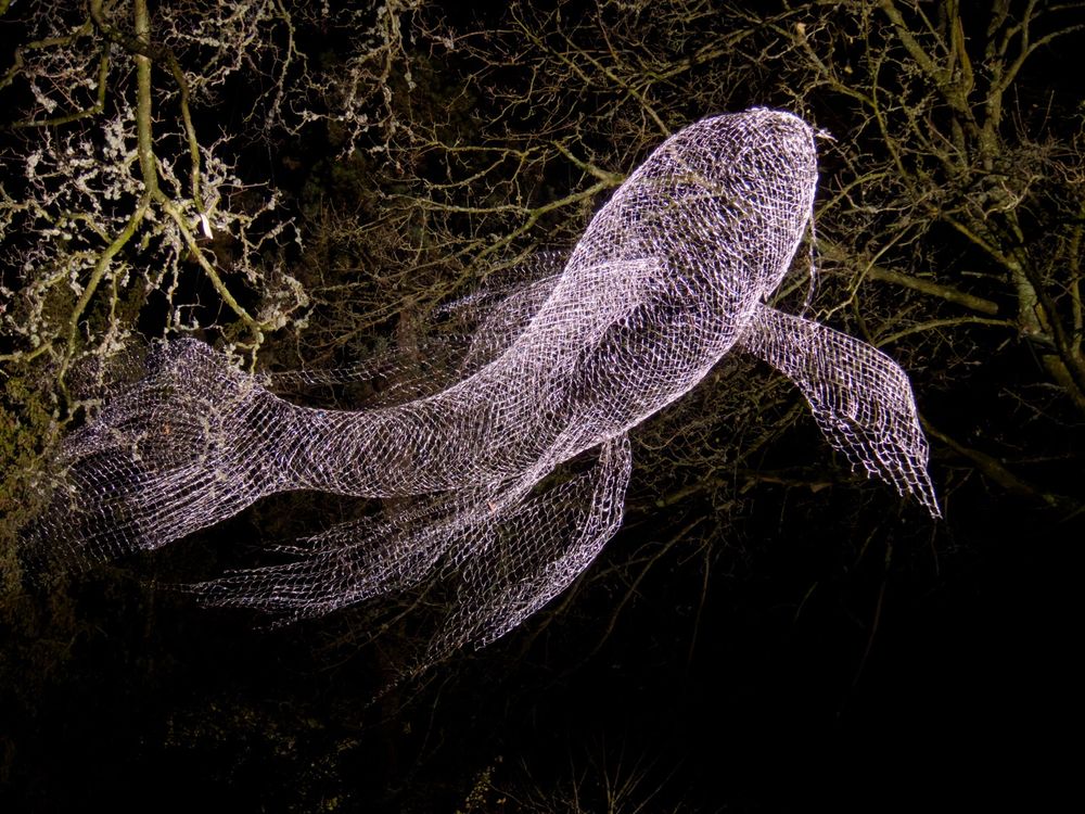 Nighttime and a fish crafted from tiny lights is suspended in the trees. 