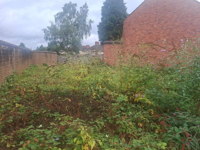 A patch of unused and overgrown land between brick walls and houses.