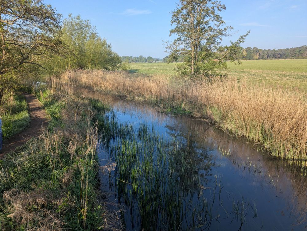 A walk over the river