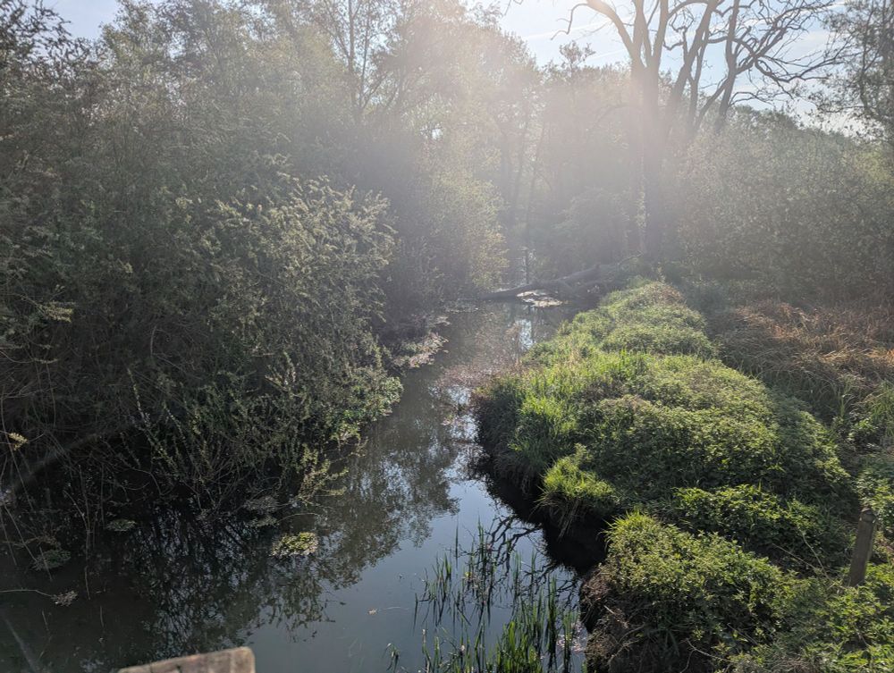 Other side of the river