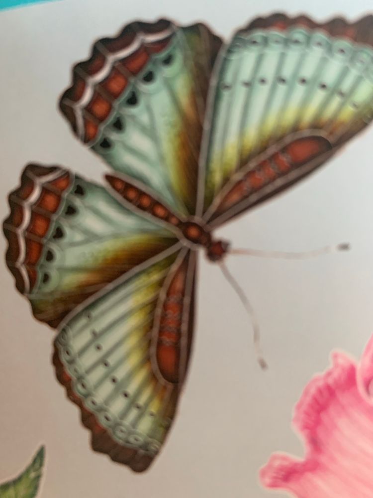 A butterfly picture in blue,gold black and red.A pink flower petal in the right corner and the tip of a green leaf in the left corner. The photograph was taken from a ceramic coaster.