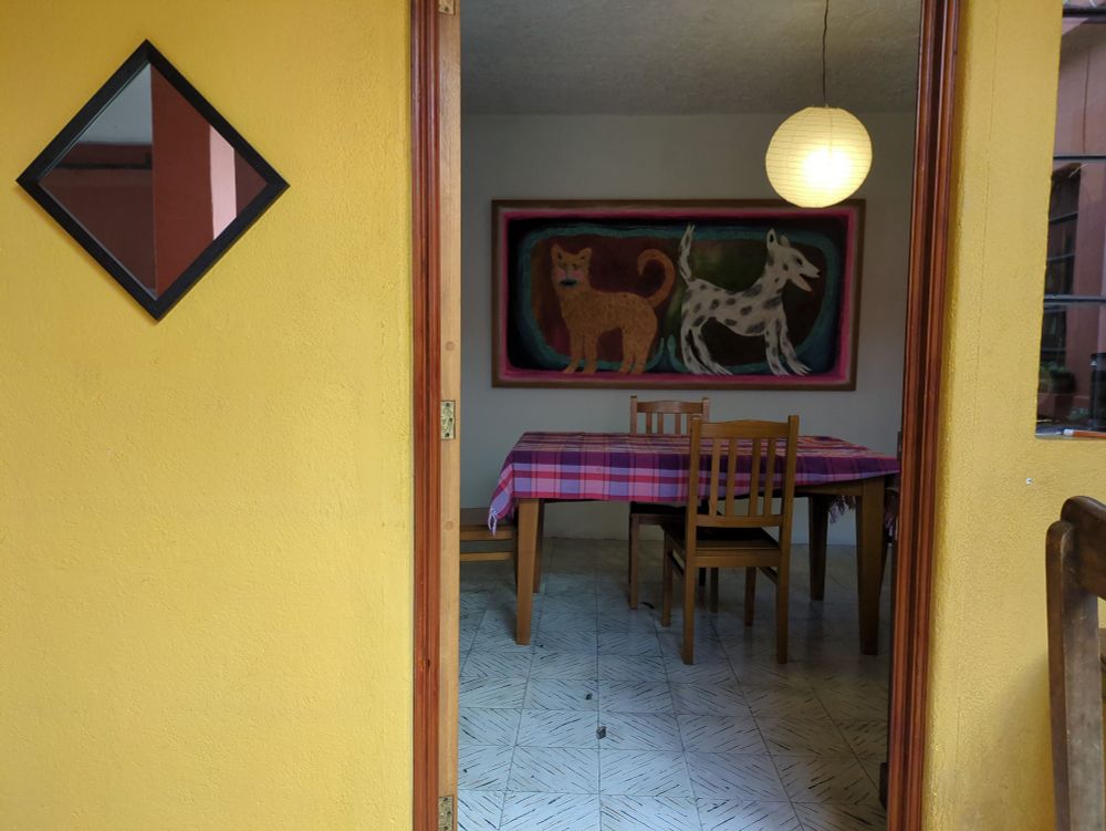 Through a doorway, a dining table, and a large 1m x 2m energetic painting of a dog, a cat, and a snake. I like how the colors of the wall, tablecloth, and painting play off each other.
