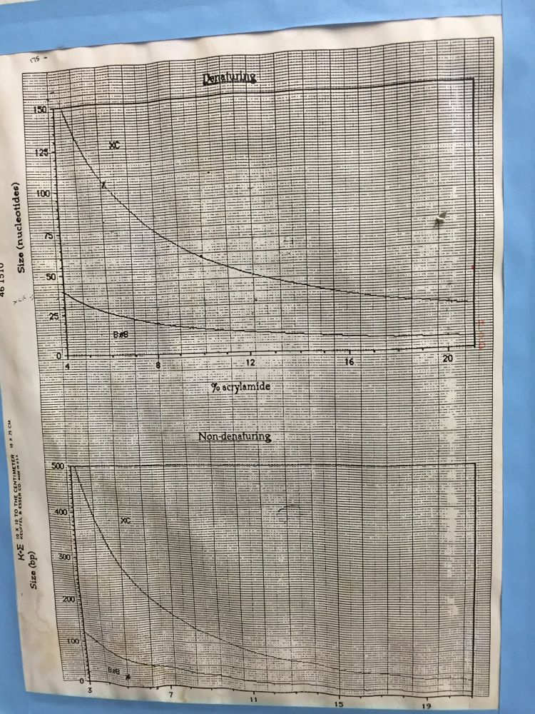 2 graphs printed on the top and bottom of a sheet of graph paper, one labeled Denaturing and the other labeled Non-denaturing. The x-axes indicate the percent acrylamide, and the y-axes the size in nucleotides or base pairs, respectively, at which xylene cyanol (XC) and bromophenol blue (BxB) dyes will migrate on the respective gels.

As noted, it's a photo of a printout of a photo of a printout from another lab's bulletin board, and it shows.