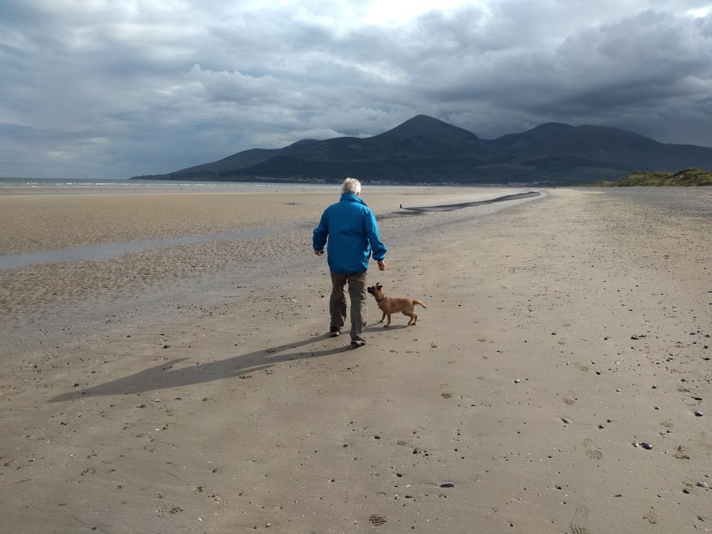 A border terrier and a man playing with a ball on a big beach which ends at a mountain range