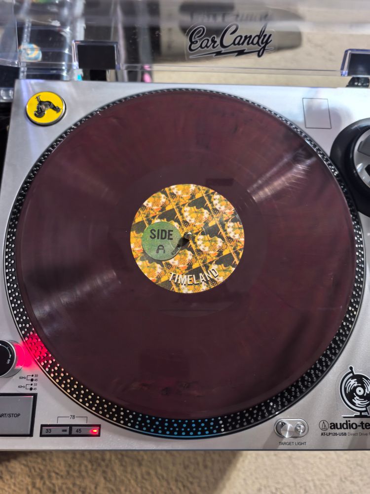 King Gizzard and The Lizard Wizard - Made in Timeland vinyl side A