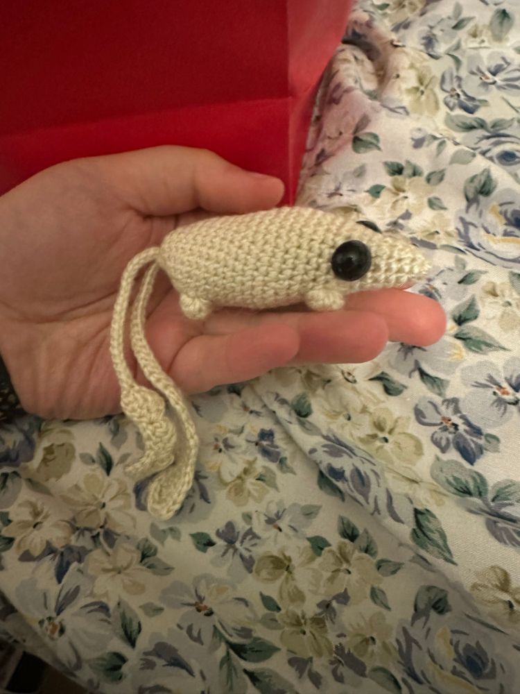 A new new new crochet new animal that will not go missing in a casino 