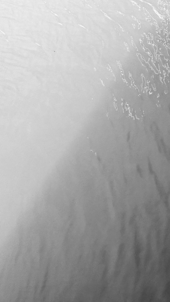 Black and white photo close-up of a shadow forming on the water.
