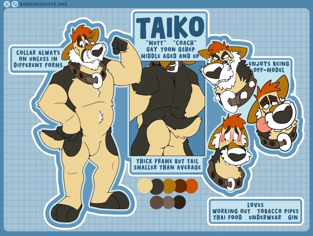 A reference sheet for Taiko, an adult anthropomorphic dog character. He poses. And poses. And poses more.