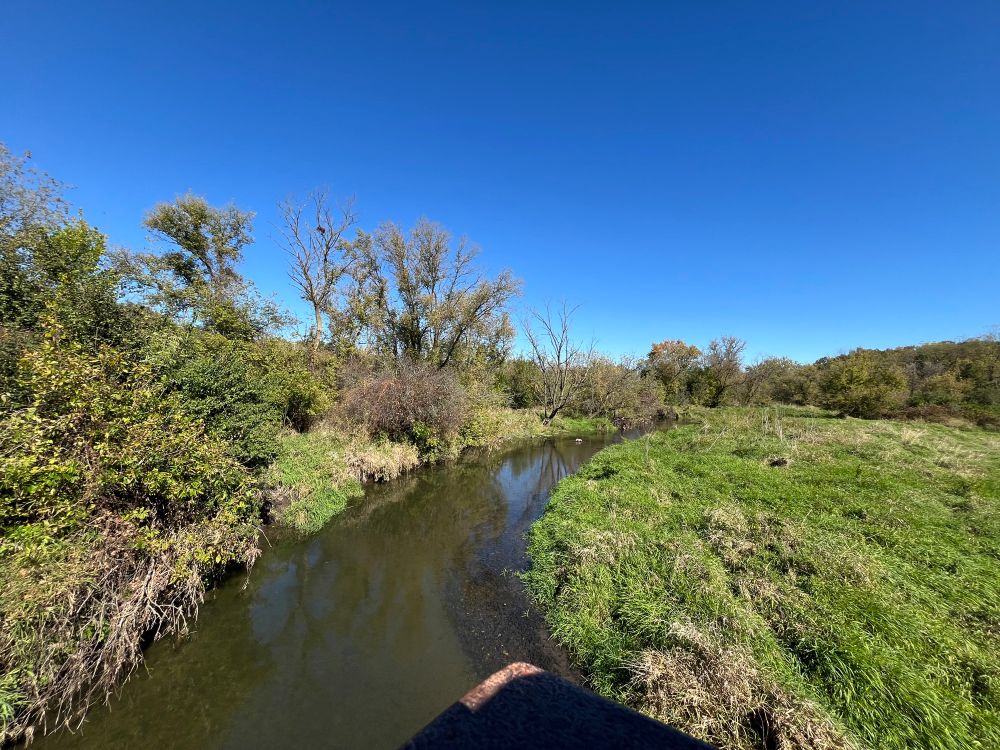 wide-angle lens photo of a stream and some vegetation 
