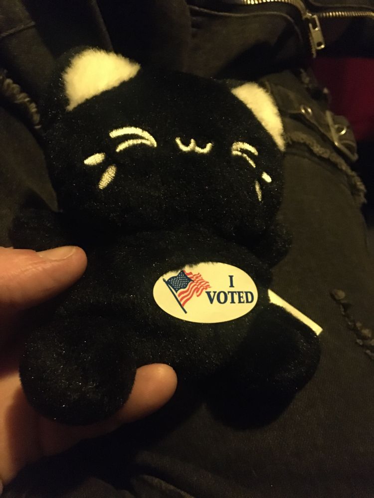 A black cat palm pals plushie with a sticker saying “I voted”