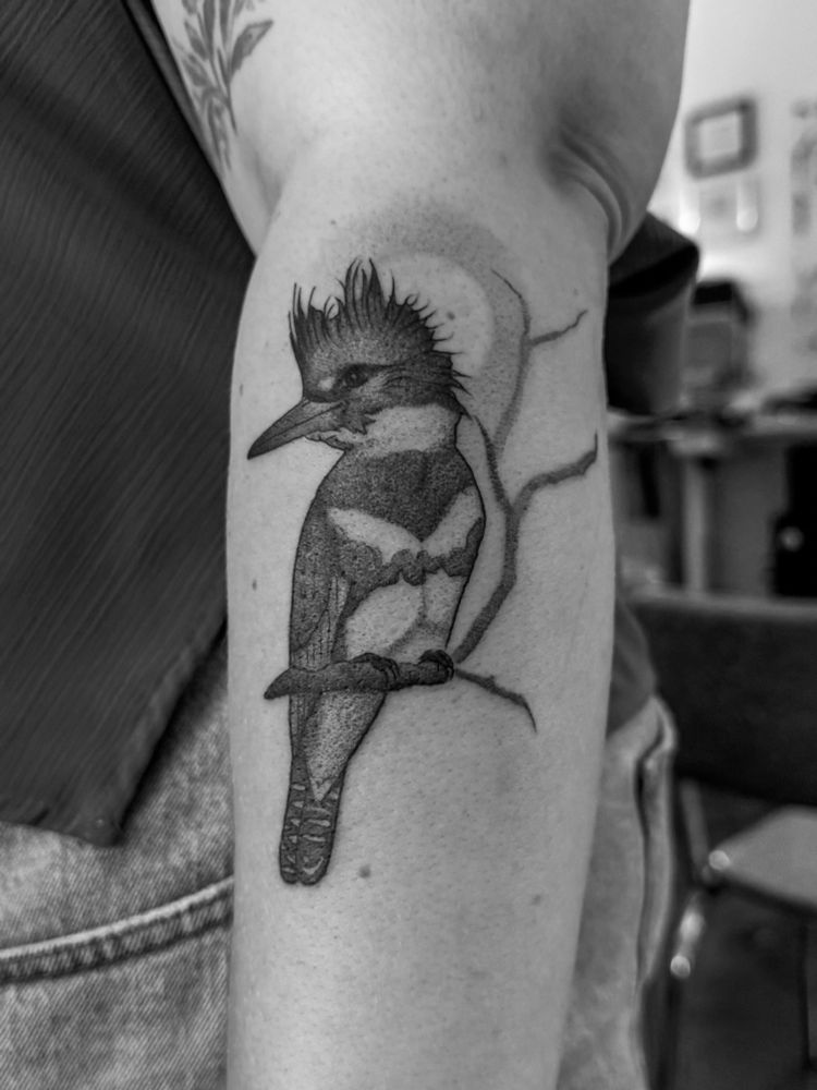 Black and white photo of my Belted Kingfisher tattoo which is on my left forearm.
