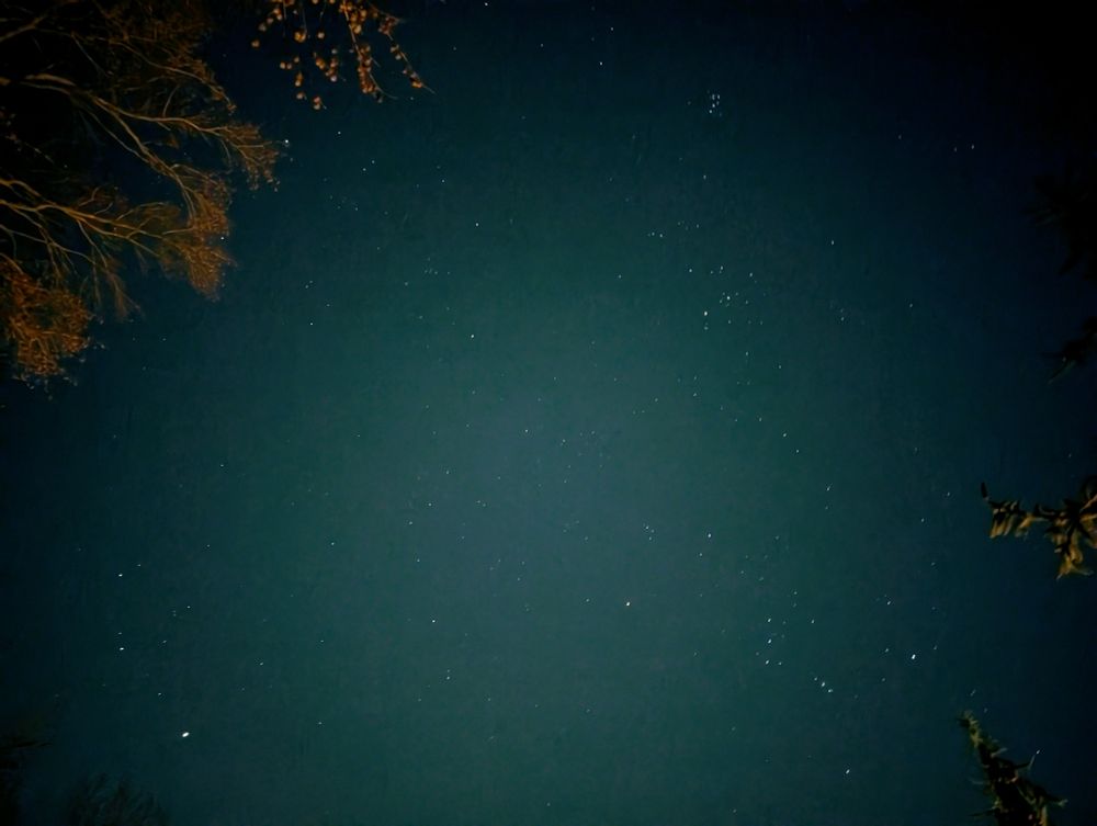 Night sky with lots of stars