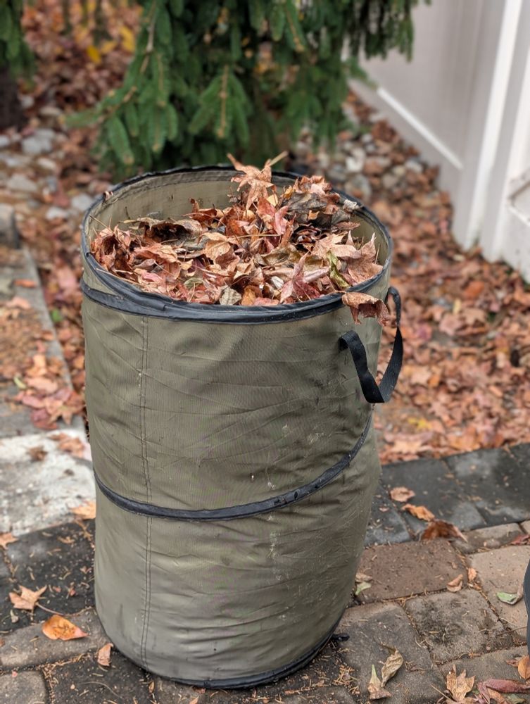 A green plastic bin full of leaves