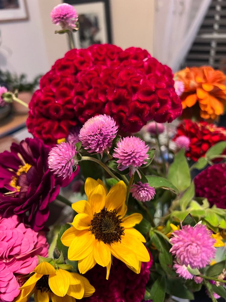 Mixed bouquet for red, pink, orange, & yellow flowers.