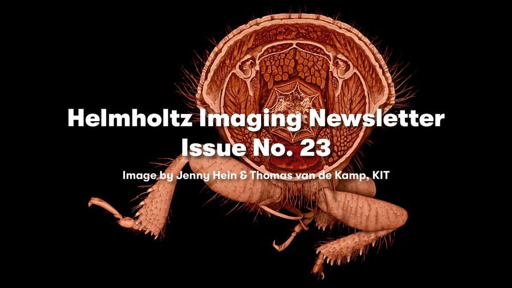 Visual to promote the Helmholtz Imaging Newsletter No. 23, image by Jenny Hein & Thomas van de Kamp, KIT
