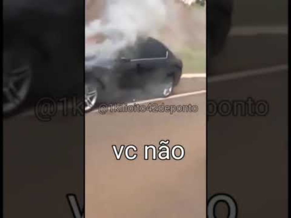 Leãozinho vc não vale nada