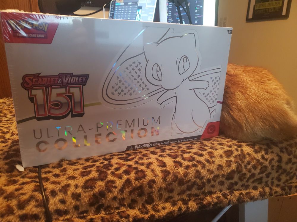 An ultra premium collection pokemon151 box with a cat laying next to it.