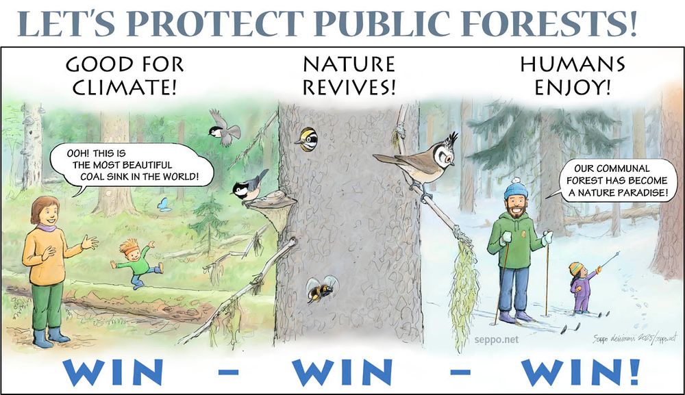Cartoon with old forest, humans and birds. Protecting & restoring public forests is good for climate, nature and people!