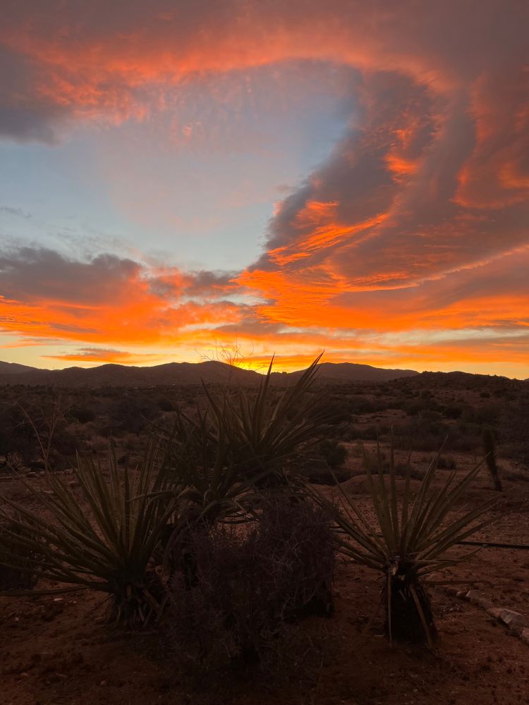 A fiery, partially cloudy sunset unfurls above the Mojave Desert. Spikey Mojave yucca are in the foreground, while purple mountains roll in the background. A portal of blue sky appears. 