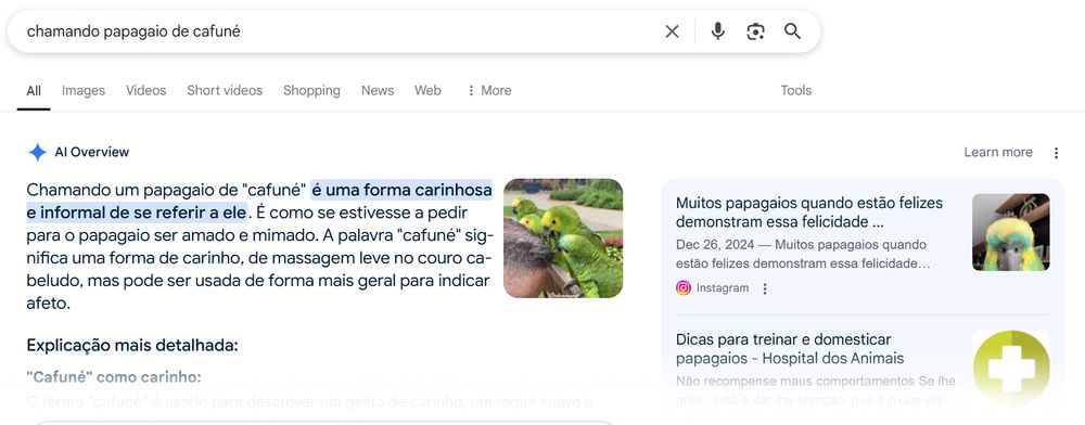  Captura de tela do Google inventando uma resposta pra uma pesquisa sobre a expressão "chamando papagaio de cafuné" que não faz o menor sentido... mas ele trata como se fosse uma expressão válida.