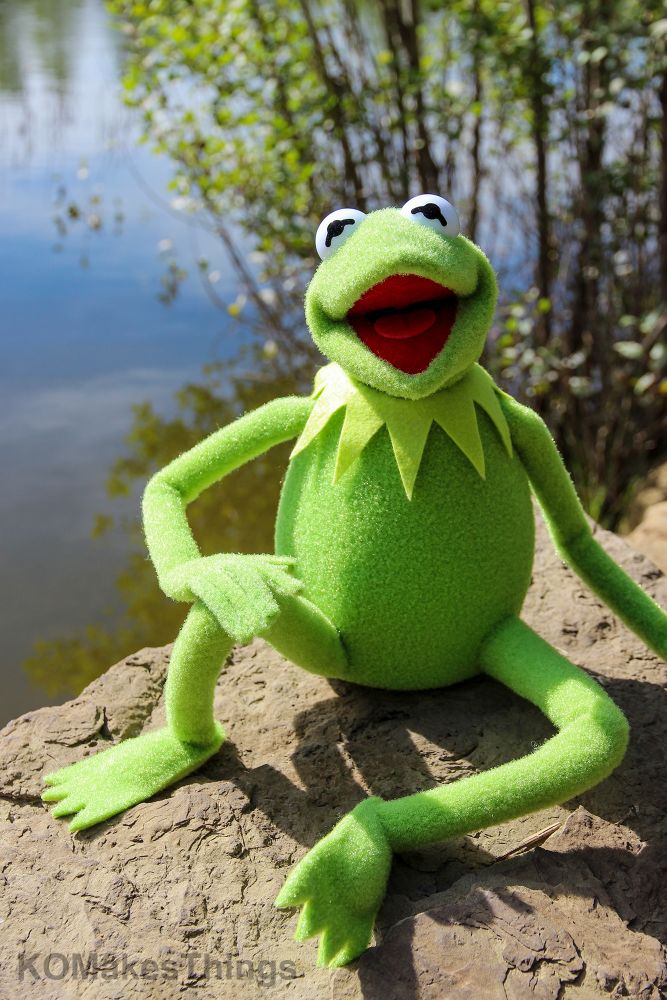 A Kermit the frog puppet, sitting on top of a large rock with water and trees in the distance. Kermit is facing the camera, smiling. His right hand is resting on his right leg. 