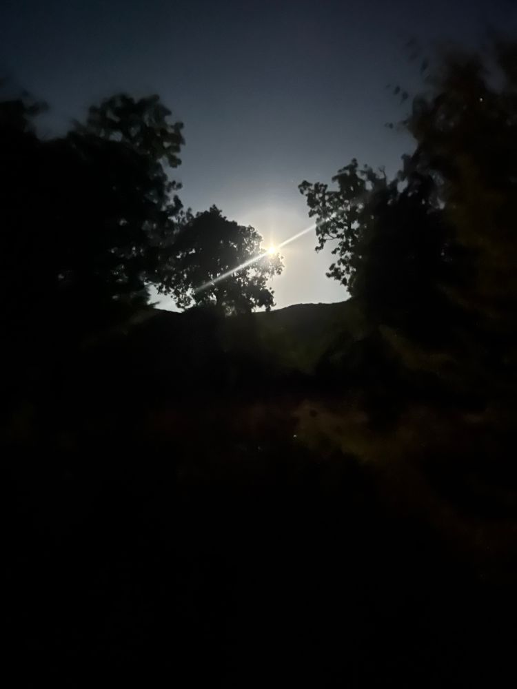 Pleine lune au-dessus d’un horizon d’arbres, devant la colline