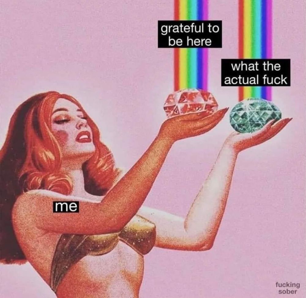 Picture of a lady holding two diamonds with rainbows shooting out of them.  One says “grateful to be here”, the other says “what the actual fuck”.  The lady is labeled “me”