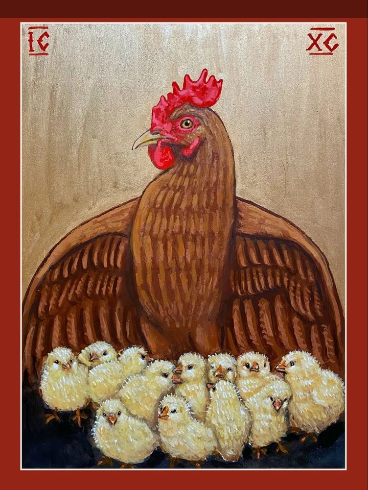Christ: the Mother Hen by Kelly Latimore. An icon with traditional red border and gold background showing a brown hen with red comb with its face sideways so looking out of the icon, with wings outspread over 12 yellow chicks.