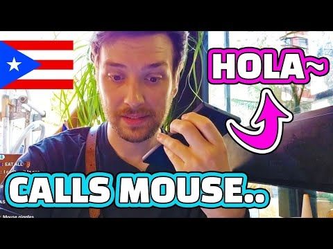 Ironmouse Orders for CDawg in Puerto Rican Restaurant