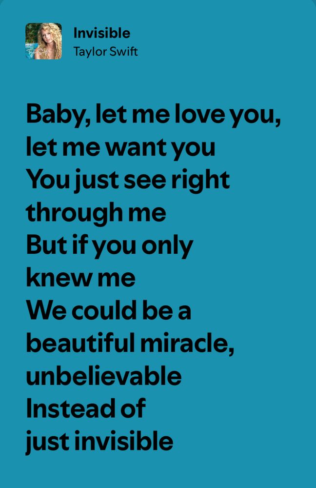 Screenshot of lyrics of “invisible” by taylor swift

Blue background. Text reads:

Baby let me love you let me want you
You just see right through me
But if you only knew me
We could be a beautiful miracle, unbelievable
Instead of just invisible