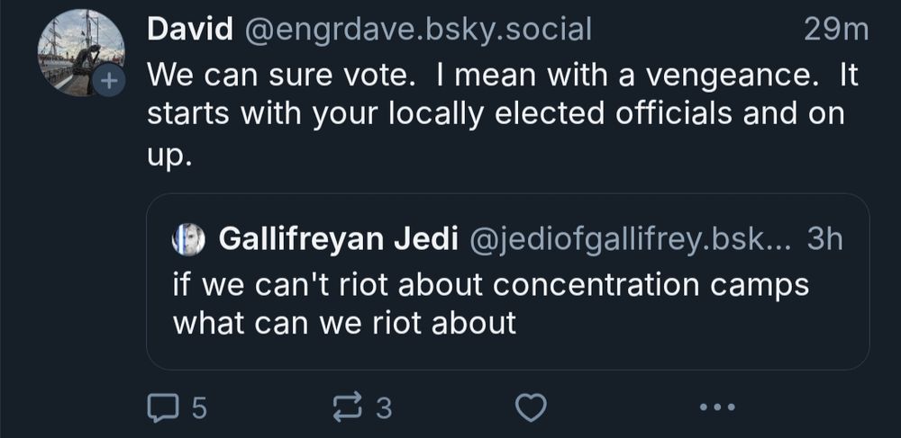 @engrdave.blsky.sicial saying "we can sure vote. I mean with a vengeance. It starts with your locally elected officials and on up." To a post by gallifreyan Jedi's post "if we can't riot about concentration camps what can we riot about"