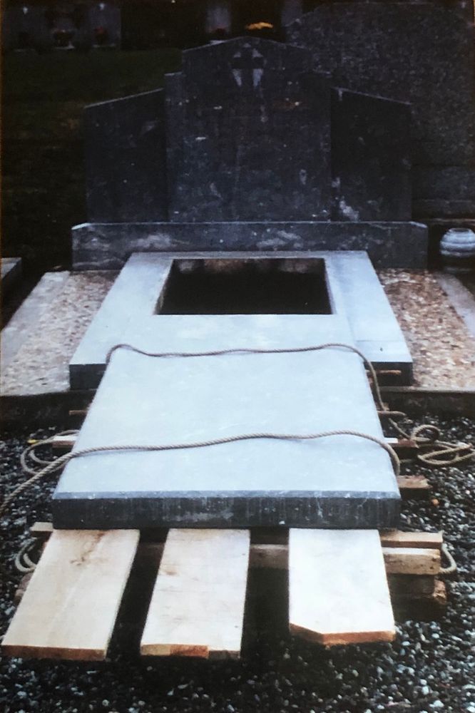 From the bridge, I watched the white swans skim the surface of the lake. I studied an old man at toast and tea, scraping the foil for butter. Deliberate as a cat, I dipped my tongue into the swirl of cream above the coffee. I heard a flutter of wings and the tapping of a chisel on a gravestone in the churchyard. I walked among the stones fallen from a wall, reminiscent of the ebb and flow of diaspora. 

[a prose poem written about Ireland. My pic taken in Ireland many years ago]
