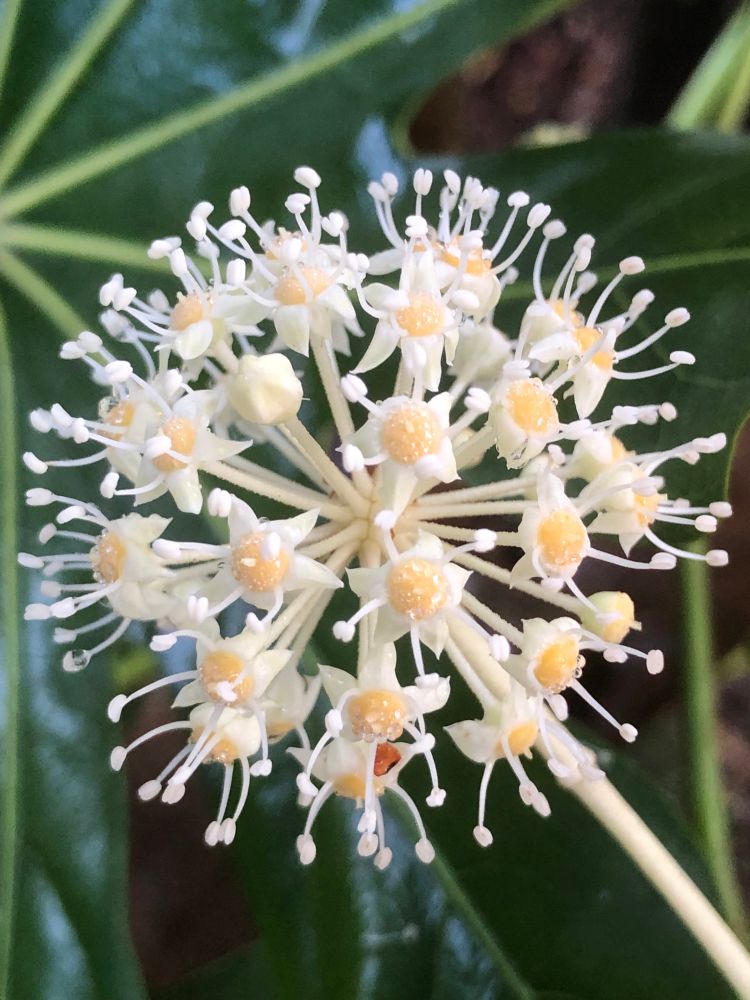 Good night Blue sky people Look at this before you sleep and good dreams