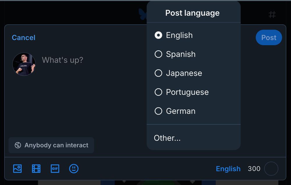 Bluesky Post languages selectors screenshot