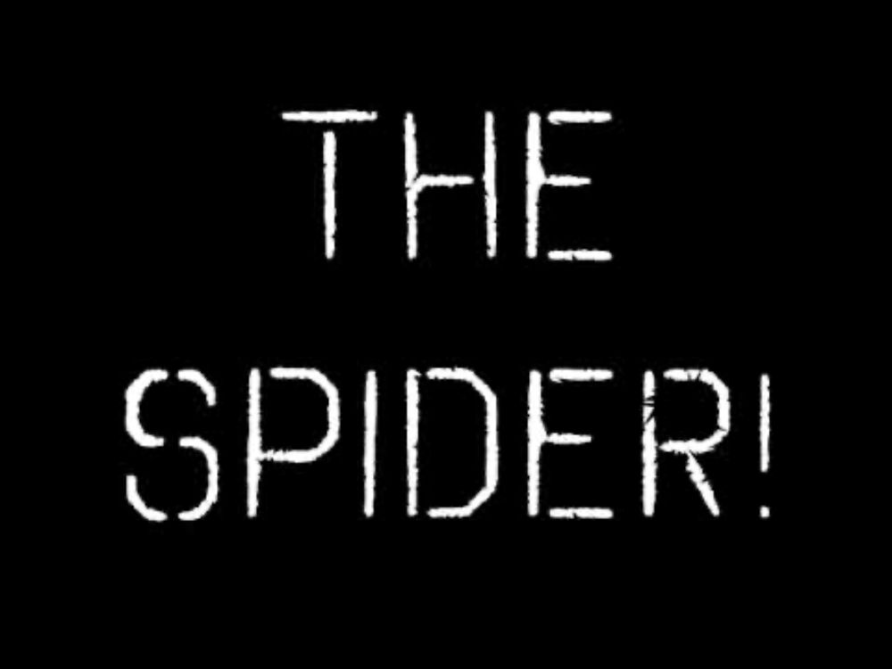 The Spider (Short Stop Motion Horror Film)